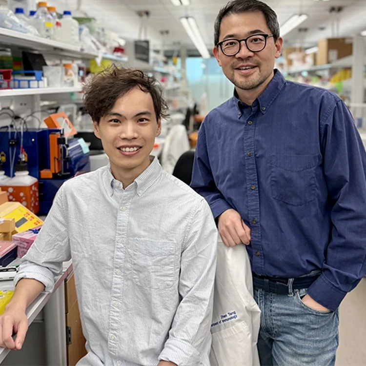 STINGタンパク質の驚くべき新機能：細胞の「お掃除係」リソソームの品質管理センサーだった！