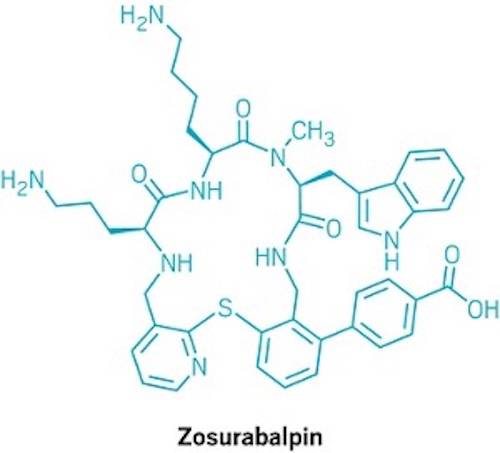 ビール酵母が「創薬工場」に!大環状ペプチドの新薬開発を加速する新技術