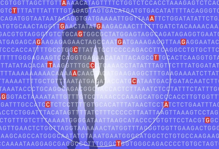 肥満リスクは遺伝子で予測できる？500万人のデータが示す早期予防の可能性