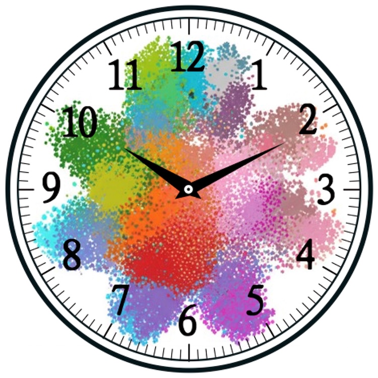 免疫力のピークはいつ？T細胞のサーカディアンリズムを制御する新メカニズム