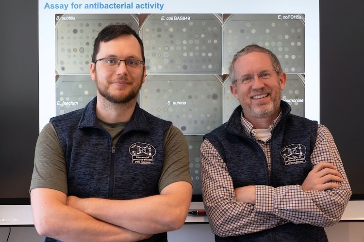 土壌に眠る「微生物ダークマター」から新抗生物質を発見する画期的手法