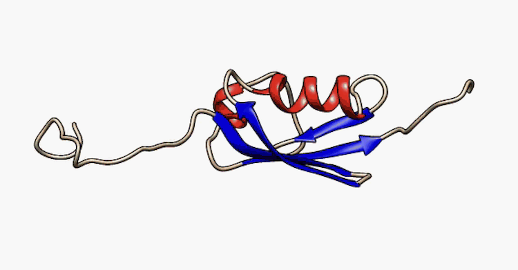 AlphaFoldの限界を超える:物理ベース機械学習による「天然変性タンパク質」設計