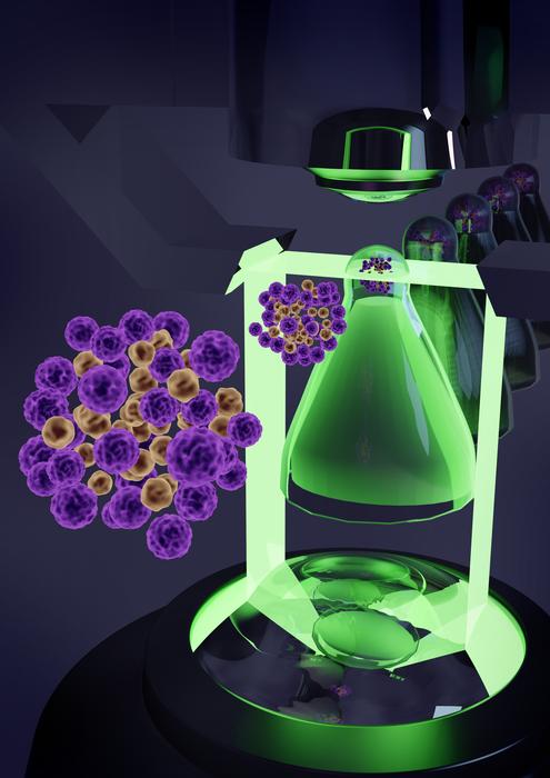 AIで100検体を同時解析！創薬と個別化医療を変える「HCS-3DX」とは