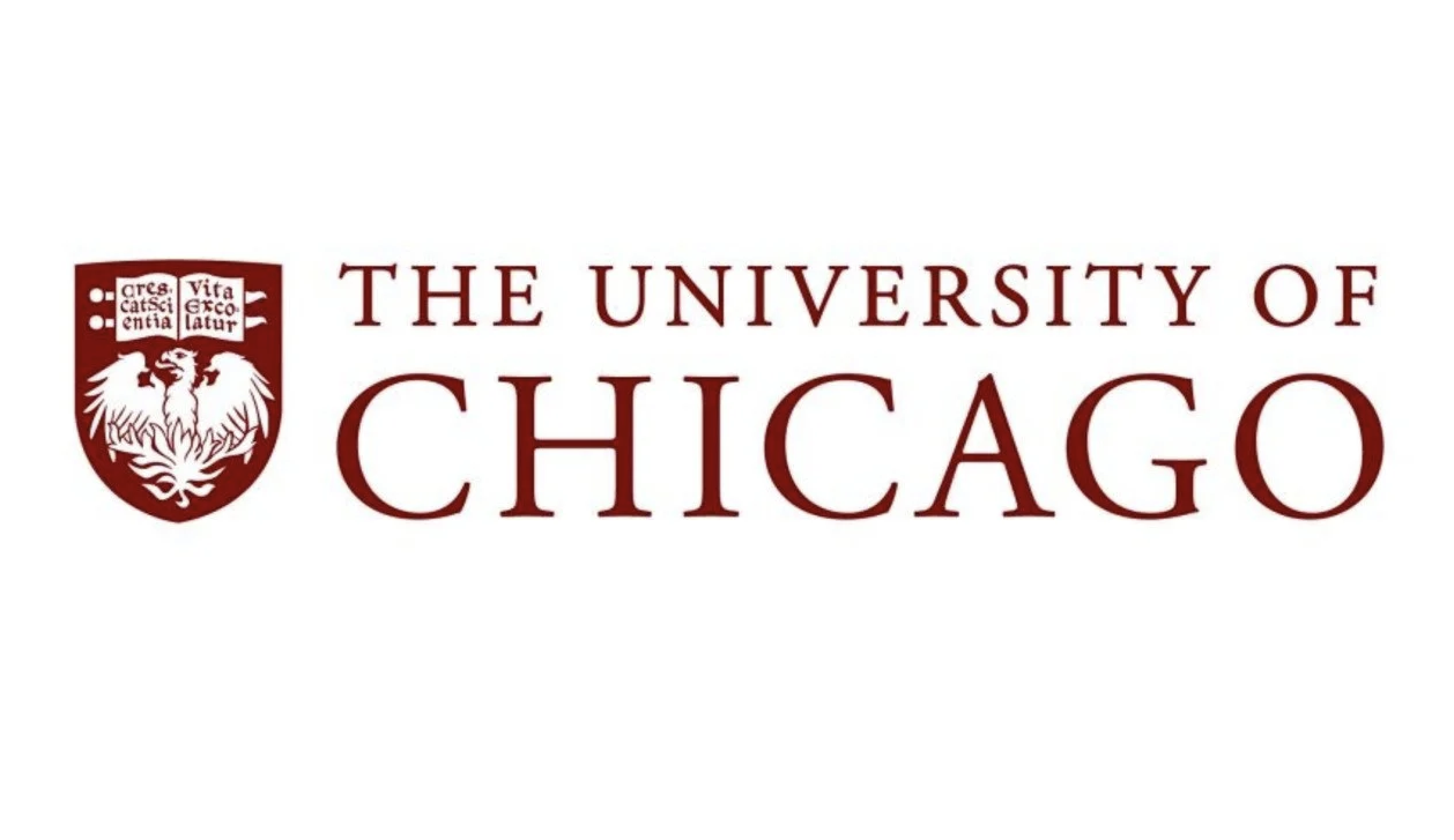 タンパク質合成を操る影の主役！腸内細菌由来の分子preQ1が秘める治療の可能性