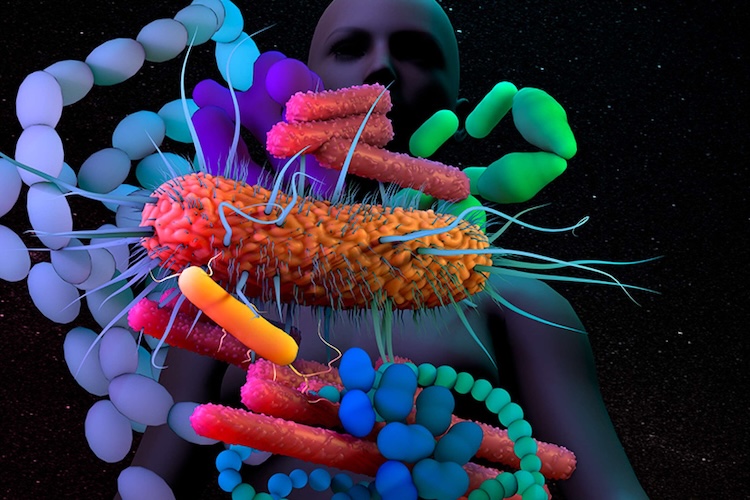 「善玉菌」が牙をむく?最新メタゲノム解析で迫る冠動脈疾患と腸内環境の真実