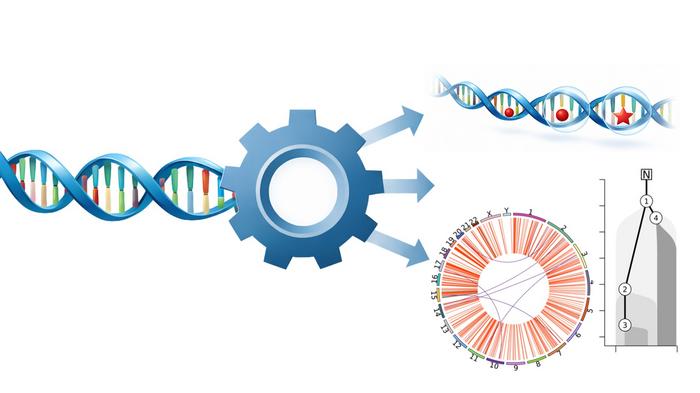 大規模ゲノム解析を自動化・標準化する新ツール「metapipeline-DNA」が登場