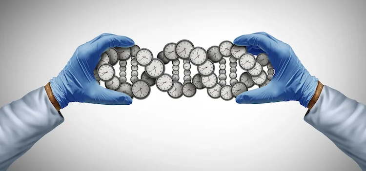 寿命の半分は遺伝子で決まる？ワイツマン科学研究所が明かす長寿の秘密