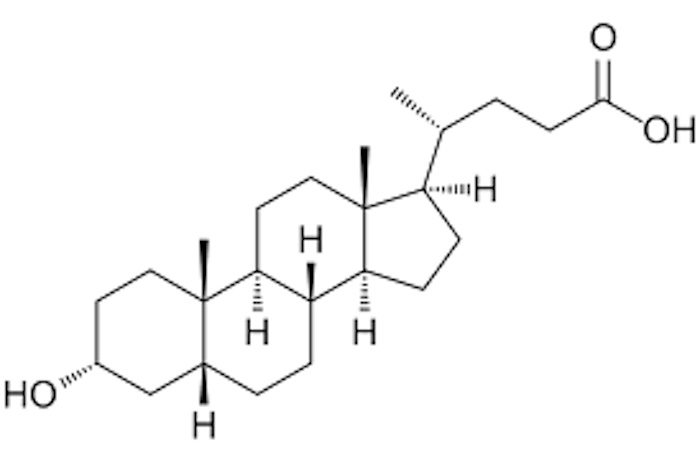 リトコール酸が老化を抑制:カロリー制限効果を再現する分子メカニズムを解明