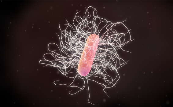 個別化モデルが拓く未来：腸内細菌「C. diff」の感染リスクを予測し、あなたに合ったプロバイオティクスで予防