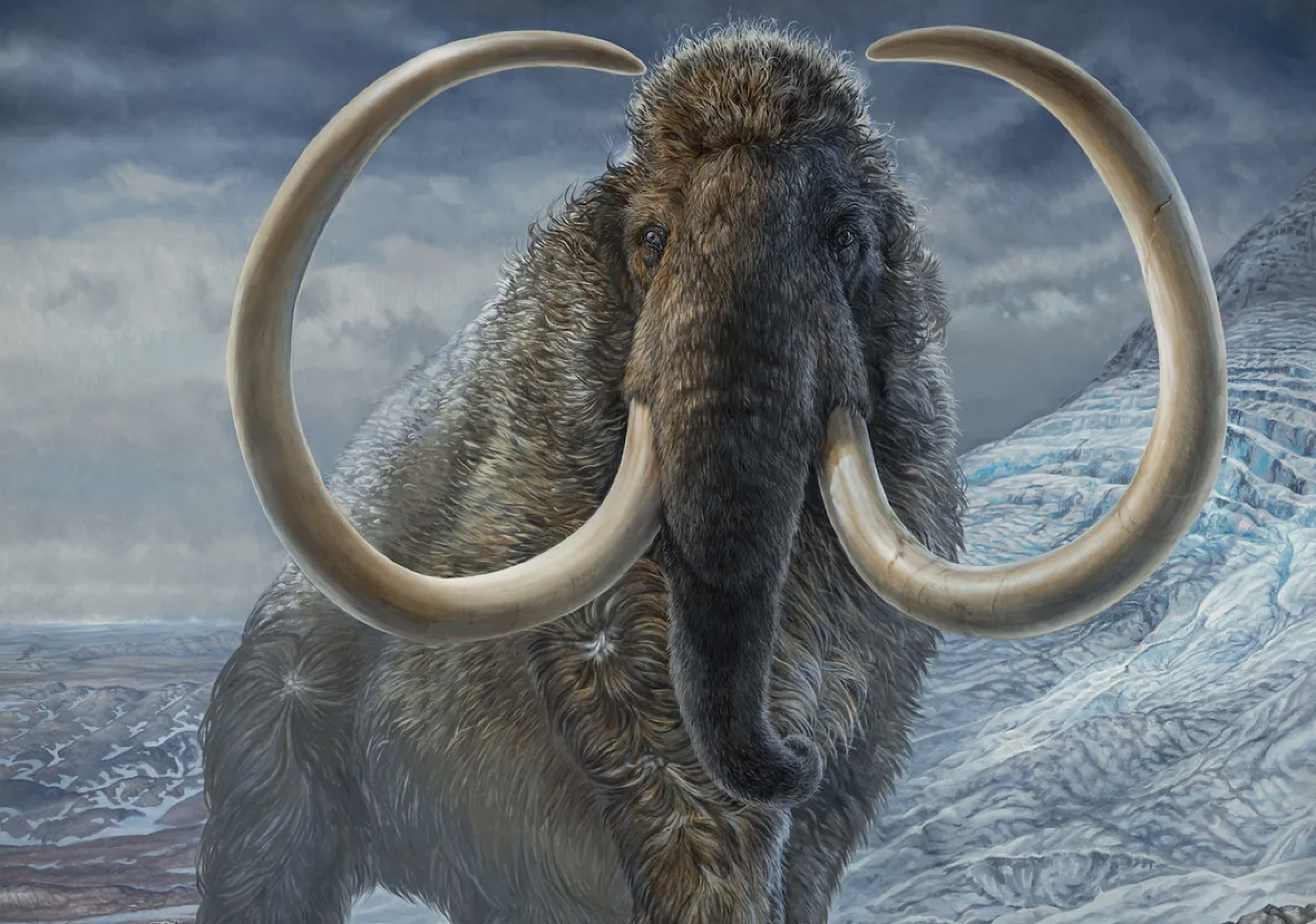 世界初！4万年前のマンモスからRNAの抽出に成功。氷河期の生命の鼓動を解明