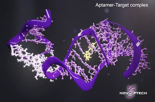 アプタマーでバイオセンサー開発:抗体と比較し多くのメリット - Novaptech アプタマー複合体